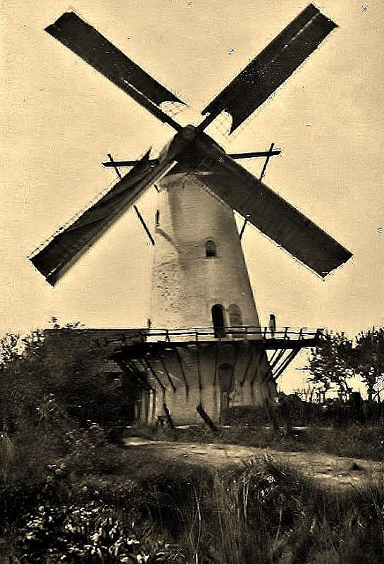Personalia-Ritthem-2287.jpg - Molen Ritthem met op omloop Saar Hoebeke