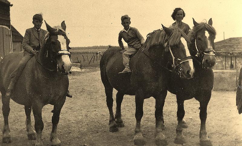 Personalia-Ritthem-2342.jpg - Piet Cevaal Jan de Pagter Kee de Bart-Gerritse